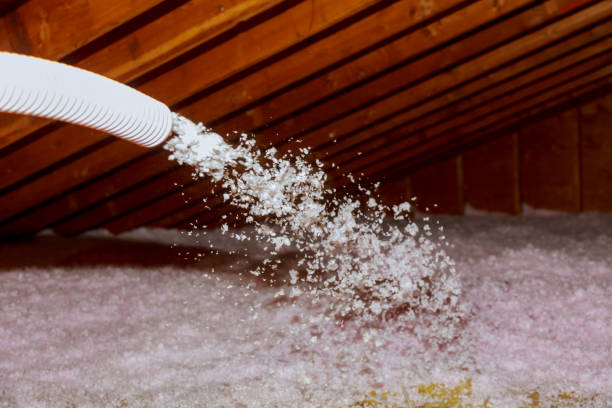 Best Attic Insulation Installation  in St Georges, DE