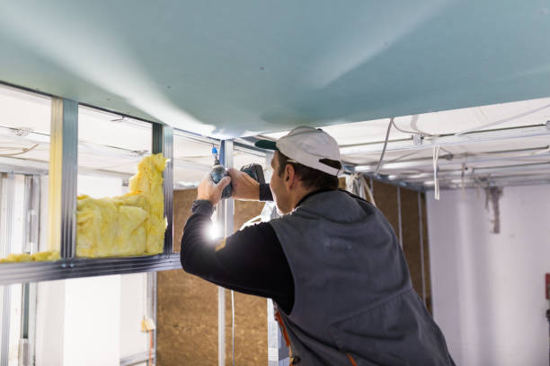 Insulation Replacement Services in St Georges, DE