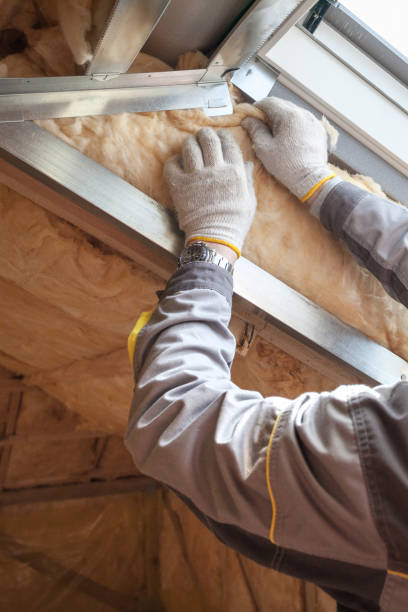Best Crawl Space Insulation  in St Georges, DE