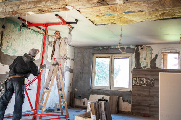 Best Insulation Removal Services  in St Georges, DE