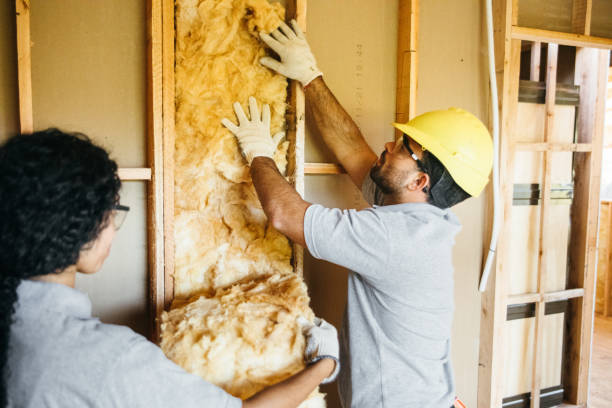 Best Home Insulation Services  in St Georges, DE