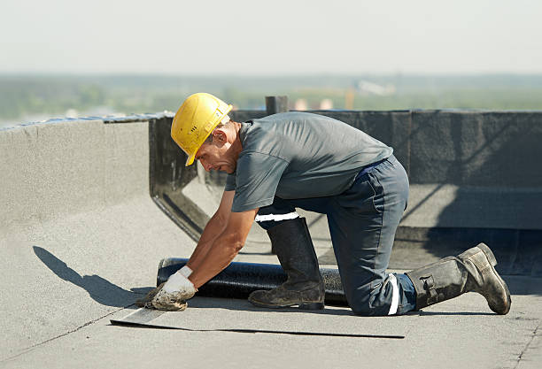 Best Professional Insulation Contractor  in St Georges, DE