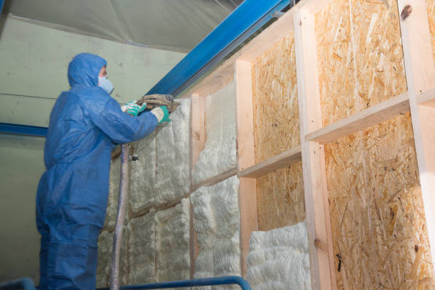 Best Home Insulation Services  in St Georges, DE