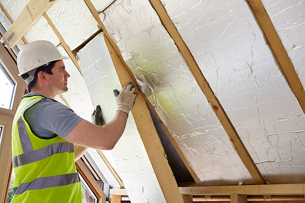Best Insulation Replacement Services  in St Georges, DE