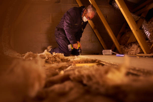 Best Insulation Contractors for Homes  in St Georges, DE